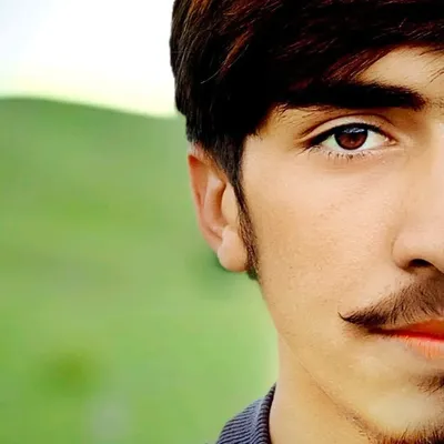 Danyal Burki profile
