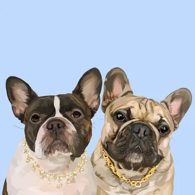 Daphne & Vinnie ๐พ | Frenchies profile