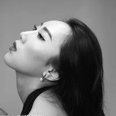 DAPHNE D調 profile
