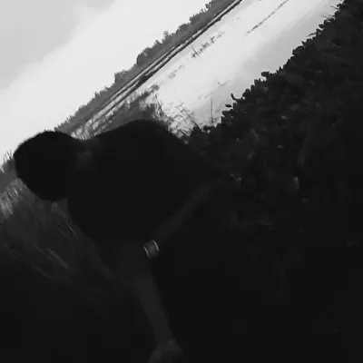 14 profile