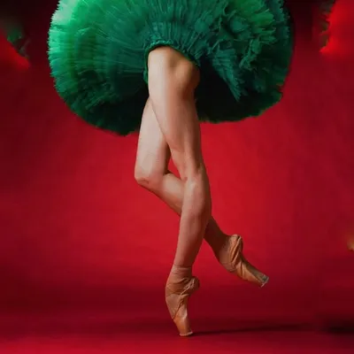 Ballet Photographer Darian Volkova profile