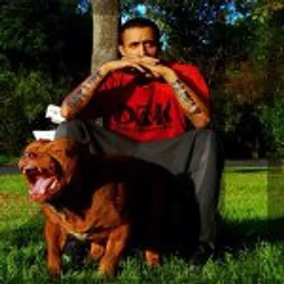 DarkDynastyK9s profile