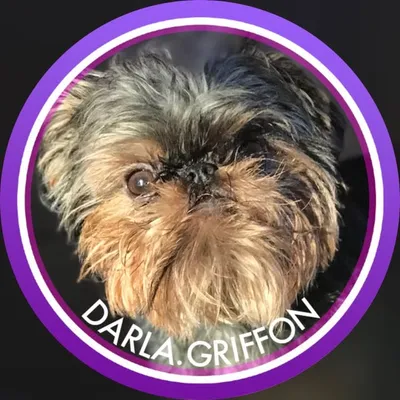 🎀Darla Bean Griffon🎀 profile