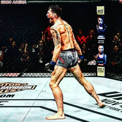 Darren 'The Gorilla' Till ๐ฆ profile