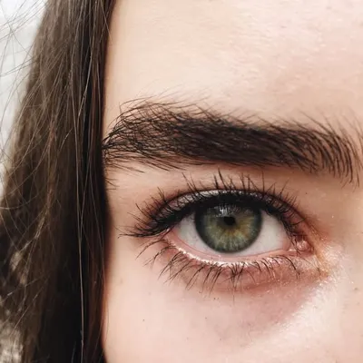 Dasha Tsenter profile