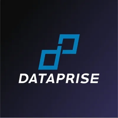 Dataprise profile
