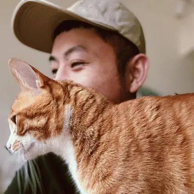 dato profile