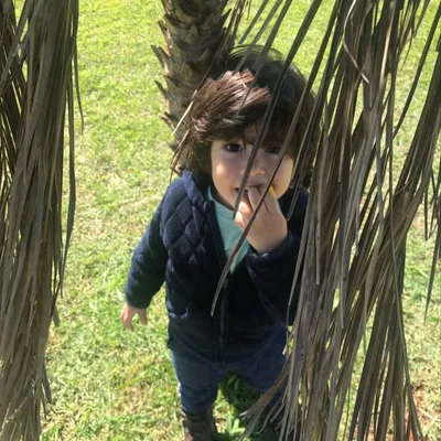 Davi Gallego 🤴 profile