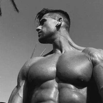 David profile