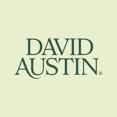 David Austin Roses profile