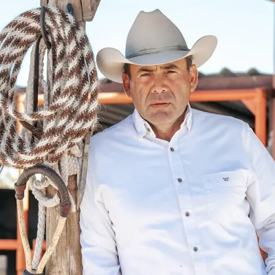 David Alonso profile