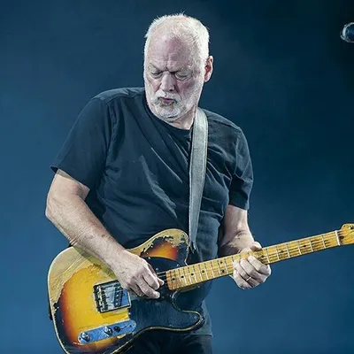 David Gilmour Iranian Fans profile