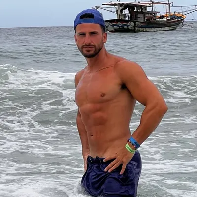 David G Primucci profile