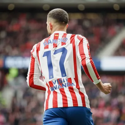 Dávid Hancko profile