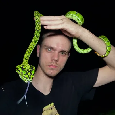 David Frohlich profile