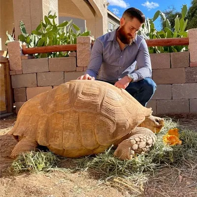 David’s Jungle 🐢🐊🦎 profile