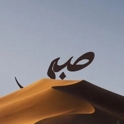 🇸🇦شارک خان 💚 profile