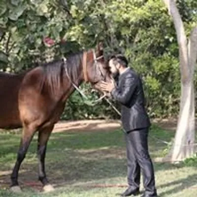 DC Daulatpuria profile