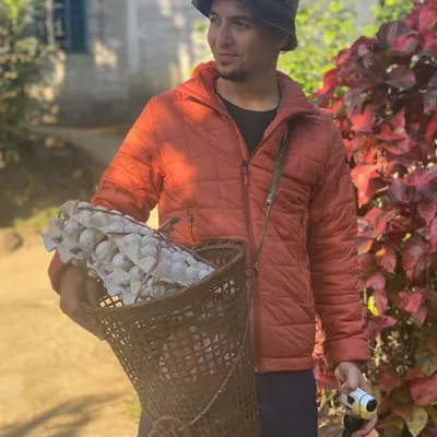 DC Traveler profile