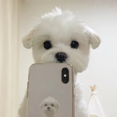 ๐๊น๋ธ๊ธฐ๐ profile
