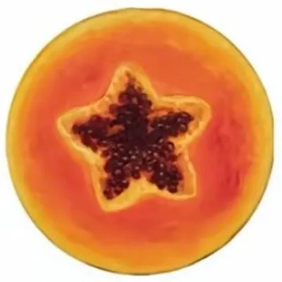 salom profile