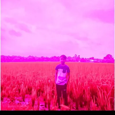 Debasish profile