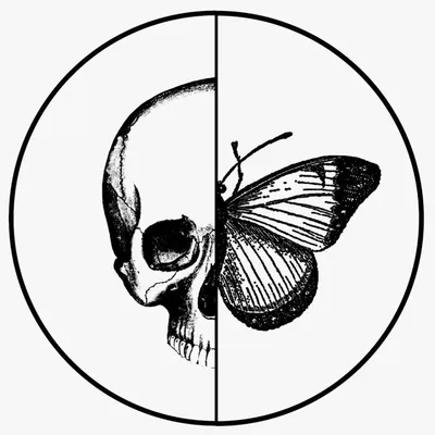 Dead Chicks profile