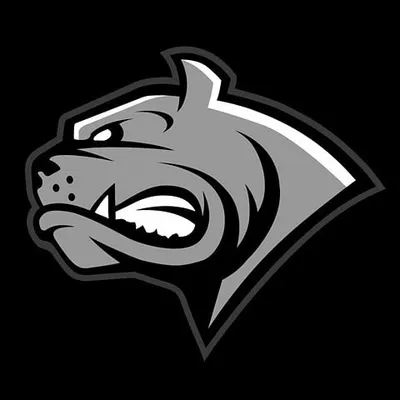 Dornbirn Bulldogs profile