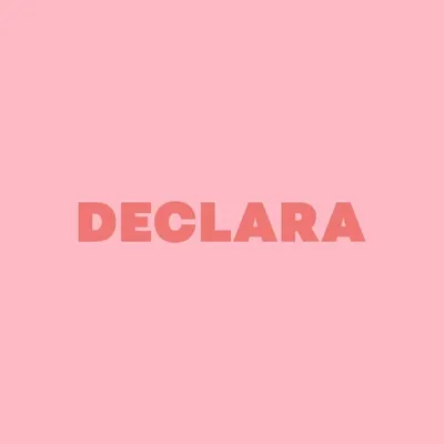 Declara profile