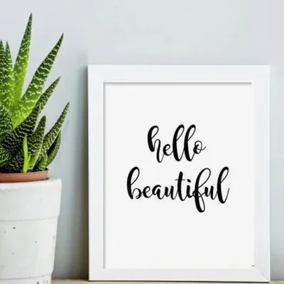 HelloDecor ✨ profile