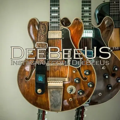DeeBeeUs™ profile