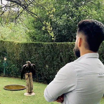 Deep Saini profile