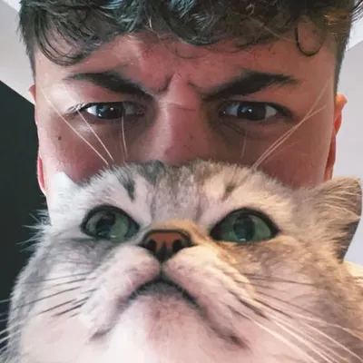 DEKSY profile