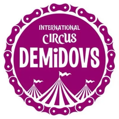 🎪 Международное Шоу Демидовых profile
