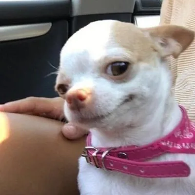 demii whiffin profile