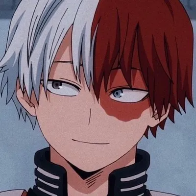 shoto todoroki profile