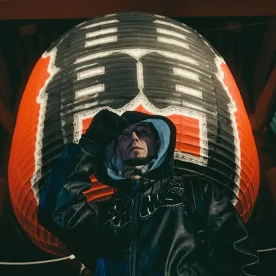 Denom profile