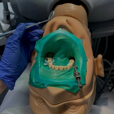 Dentista diaries profile
