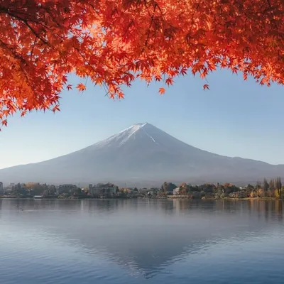 ญี่ปุ่นไม่มีเบื่อ Japan Again profile