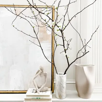 Home + Lifestyle profile