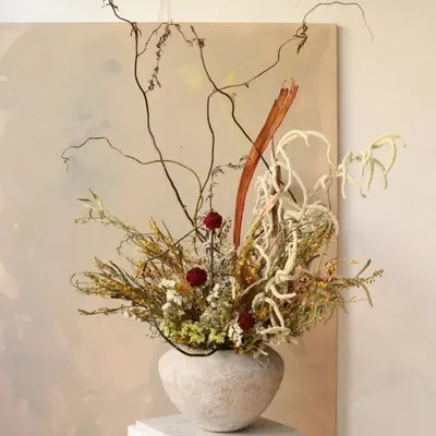 Design by Nature profile