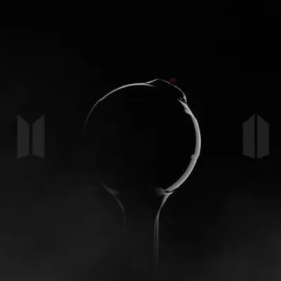 Dᴇsᴍᴀᴅʀᴇʙᴀɴɢᴛᴀɴ 🌎 profile