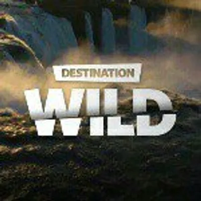 Destination Wild profile