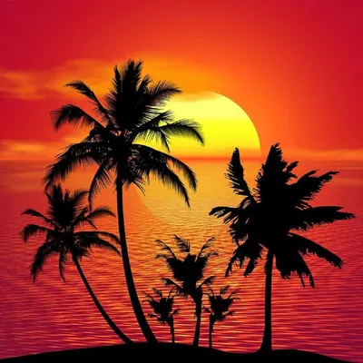 Dream Travel Destinations profile