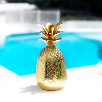 🍍Destination Social 🍍 profile