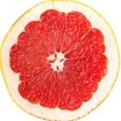 Detox Tips profile