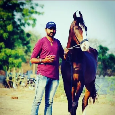 Devabhai Bharvad profile