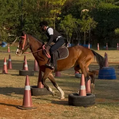 Devesh Devra profile