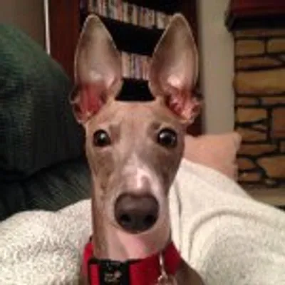 Dexter profile