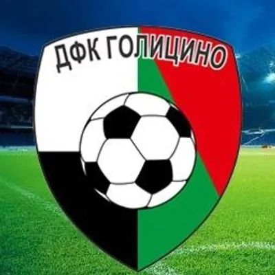 ⚽️Школа футбола «Голицино»🏆 profile